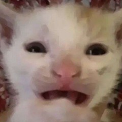 ☆ 𝕽𝖔𝖟𝖆𝖊𝖑 ☆