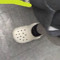 croc gang🐊