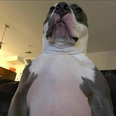 Everybody Wants To Rule The World By Josh Gad