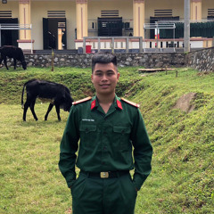 Nguyễn V. Tùng