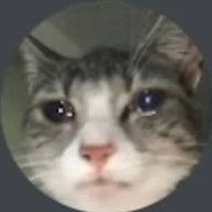 meowmeow