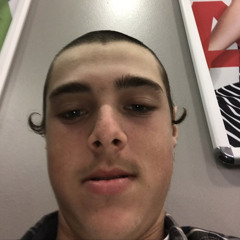 dylan