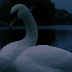 floupu