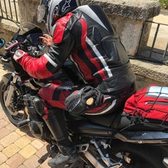 Sergio M. Haro - PANGEA