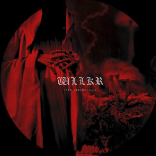 WLLKR’s avatar