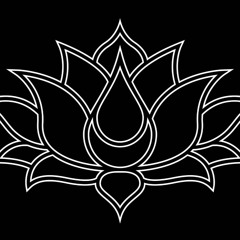 The Black Lotus