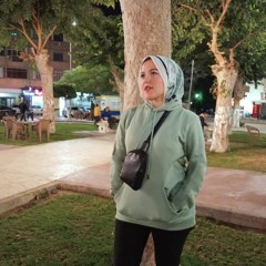 G Ragab Sallam