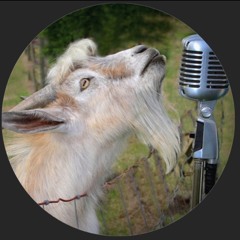 BeloFunk.