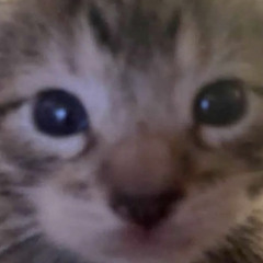 user190703