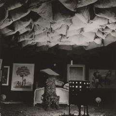 WIM P.