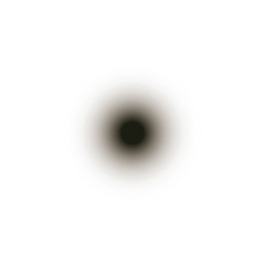 이름없음
