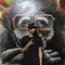 MR.BAKBA