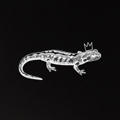 King Salamander