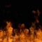 Golldenfireball
