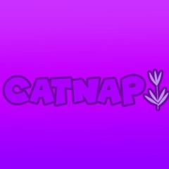 CatNap 🌙