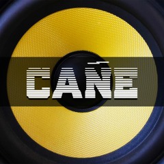 CAÑE