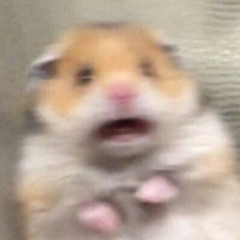 Columbina Theme "Butterfly Effect" | Genshin Impact