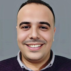 أيمن البرعى