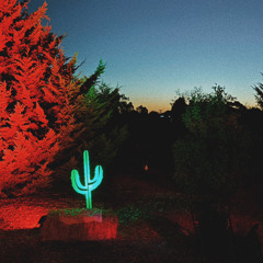 The Boneyard