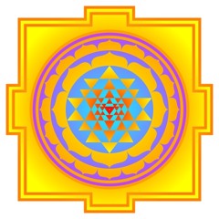 ! puppy goes fancy ¡