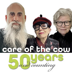 careofthecowband