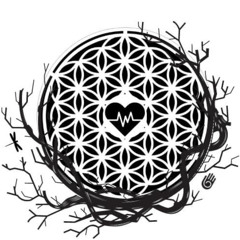 Jason-Cozy Blanket Meditation mp3