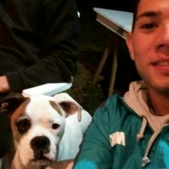 rodri