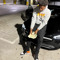 tru3hustler.jayy