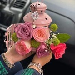 Amira Ahmed Abdelfatah