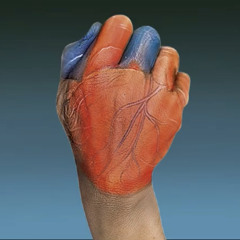 Jean Paul Nieto Vazquez