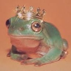 ♥ froggy my beloved ♥
