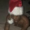 luvclirus