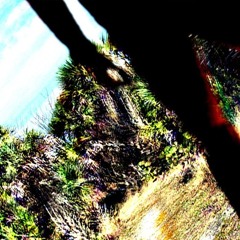 POISON_ИOƧIOᑫ_NOSIOP