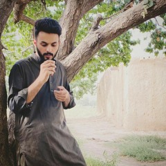 Amir Zaib
