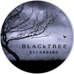 Mark Westwood - Blacktree Recording
