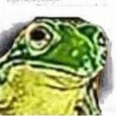 BiggyDeeFrog