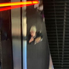 VJM