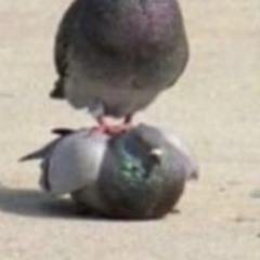 서예지