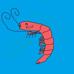 The Shrimp