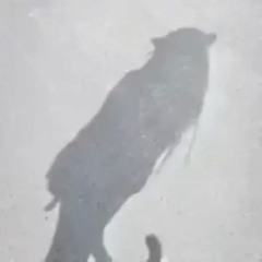 deathm3lfuserd3