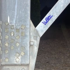 Lura