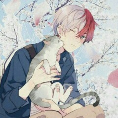 🌊 Shoto 🔥