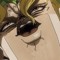 Dumb_dio