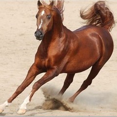 I do love U - Oct. 24 2025