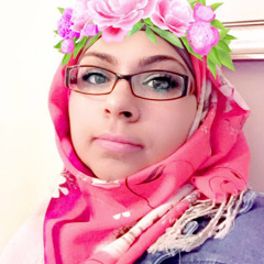 User 554238810