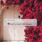 روما