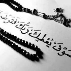 الشريف عمرو