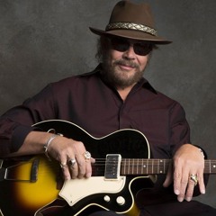 Hank Williams jr