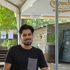 Samir Mhr