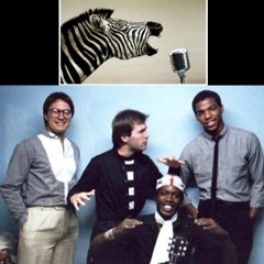 The Zebras